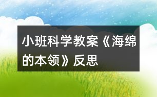 小班科學教案《海綿的本領(lǐng)》反思