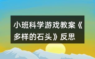 小班科學(xué)游戲教案《多樣的石頭》反思