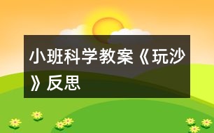 小班科學(xué)教案《玩沙》反思