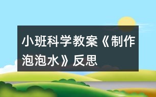 小班科學(xué)教案《制作泡泡水》反思