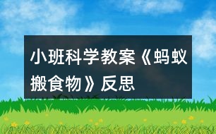 小班科學教案《螞蟻搬食物》反思