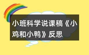 小班科學說課稿《小雞和小鴨》反思