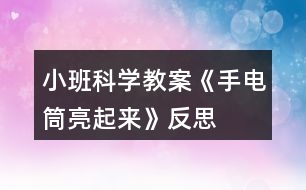 小班科學(xué)教案《手電筒亮起來》反思