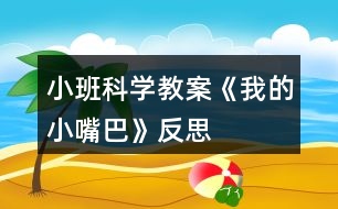 小班科學(xué)教案《我的小嘴巴》反思