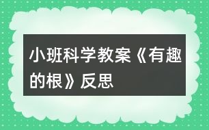 小班科學(xué)教案《有趣的根》反思