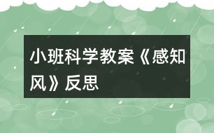 小班科學教案《感知風》反思