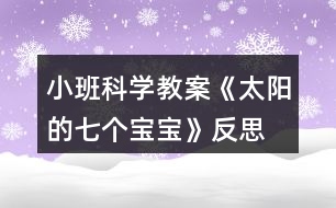 小班科學(xué)教案《太陽的七個寶寶》反思