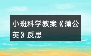 小班科學教案《蒲公英》反思