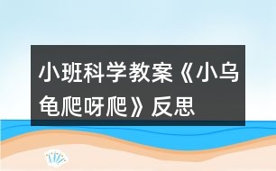 小班科學(xué)教案《小烏龜爬呀爬》反思