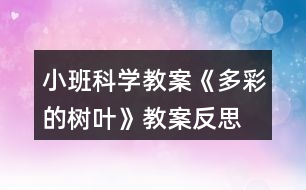 小班科學(xué)教案《多彩的樹葉》教案反思