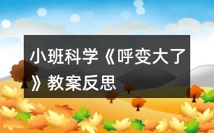 小班科學《呼變大了》教案反思