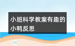 小班科學(xué)教案有趣的小鴨反思