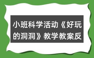 小班科學(xué)活動(dòng)《好玩的洞洞》教學(xué)教案反思