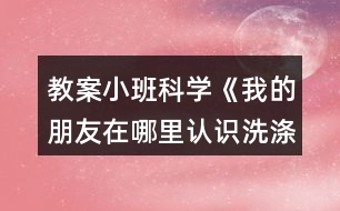 教案小班科學《我的朋友在哪里（認識洗滌用品）》反思