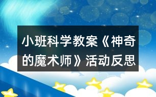 小班科學(xué)教案《神奇的魔術(shù)師》活動(dòng)反思