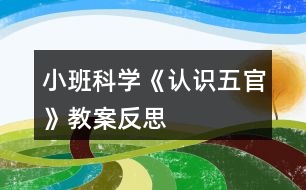 小班科學(xué)《認識五官》教案反思