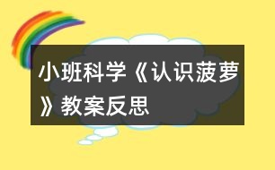 小班科學(xué)《認(rèn)識(shí)菠蘿》教案反思