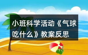 小班科學活動《氣球吃什么》教案反思