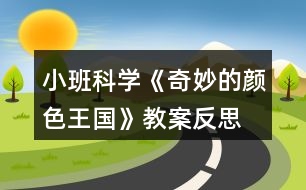 小班科學(xué)《奇妙的顏色王國(guó)》教案反思