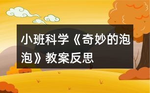 小班科學(xué)《奇妙的泡泡》教案反思