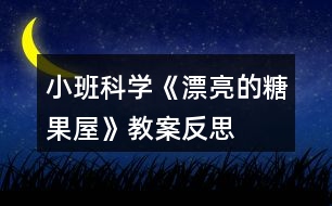 小班科學(xué)《漂亮的糖果屋》教案反思