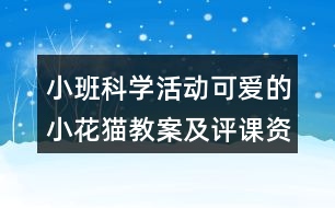 小班科學(xué)活動(dòng)可愛的小花貓教案及評(píng)課資料