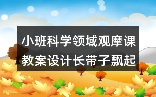 小班科學(xué)領(lǐng)域觀摩課教案設(shè)計(jì)長帶子飄起來反思