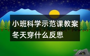 小班科學(xué)示范課教案冬天穿什么反思