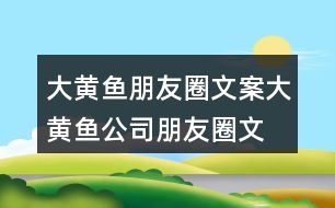 大黃魚朋友圈文案、大黃魚公司朋友圈文案32句