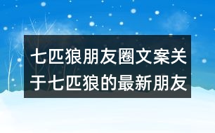 七匹狼朋友圈文案：關(guān)于七匹狼的最新朋友圈文案29句