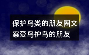 保護(hù)鳥(niǎo)類的朋友圈文案、愛(ài)鳥(niǎo)護(hù)鳥(niǎo)的朋友圈文案36句