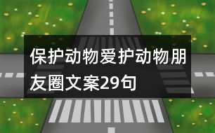 保護(hù)動(dòng)物、愛護(hù)動(dòng)物朋友圈文案29句