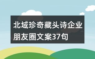 北域珍奇藏頭詩企業(yè)朋友圈文案37句