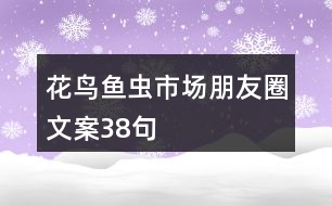 花鳥魚蟲市場朋友圈文案38句