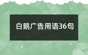 白鵝廣告用語(yǔ)36句