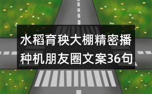 水稻育秧大棚精密播種機(jī)朋友圈文案36句