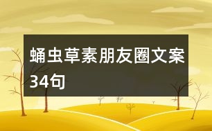 蛹蟲草素朋友圈文案34句