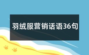 羽絨服營(yíng)銷(xiāo)話語(yǔ)36句