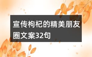 宣傳枸杞的精美朋友圈文案32句