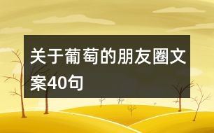 關(guān)于葡萄的朋友圈文案40句