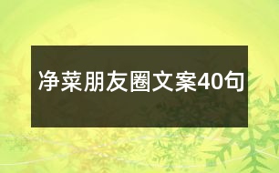 凈菜朋友圈文案40句