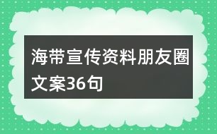 海帶宣傳資料朋友圈文案36句