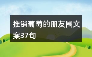 推銷葡萄的朋友圈文案37句