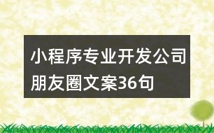 小程序?qū)I(yè)開發(fā)公司朋友圈文案36句