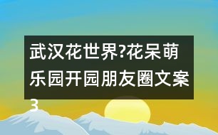 武漢花世界?花呆萌樂(lè)園開(kāi)園朋友圈文案39句