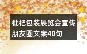 枇杷包裝、展覽會宣傳朋友圈文案40句