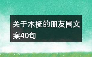 關于木梳的朋友圈文案40句