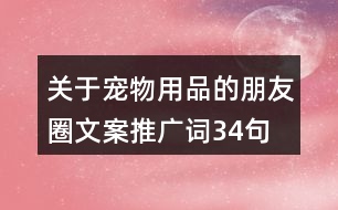 關(guān)于寵物用品的朋友圈文案、推廣詞34句