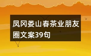 鳳岡婁山春茶業(yè)朋友圈文案39句