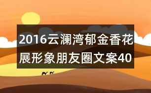 2016云瀾灣郁金香花展形象朋友圈文案40句